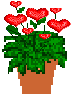 Hearts & Flowers